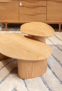 Mercan coffee table
