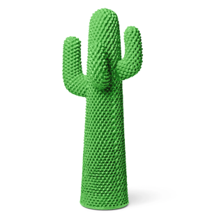 Sunrise Cactus