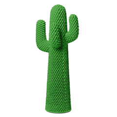 Sunrise Cactus
