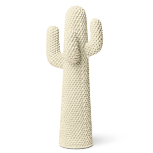 Sunrise Cactus