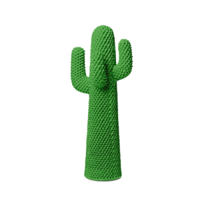 Sunrise Cactus