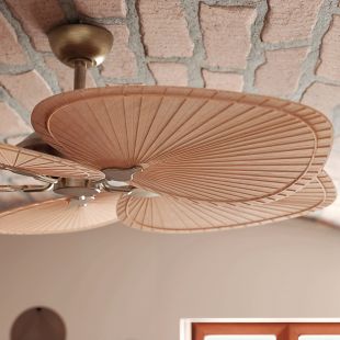 Ventilateur Lola 