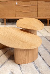Mercan coffee table